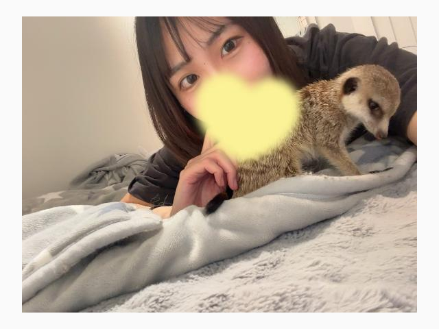 おれい