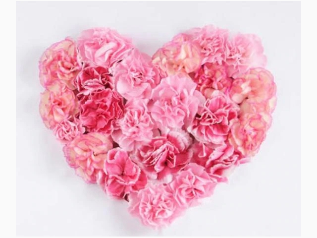 ❤️お礼です❤️