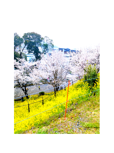 出勤&ご予約Special?Thanks