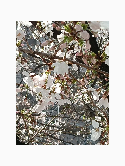 今晩は🌙💖