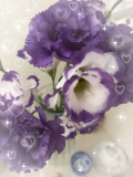 木曜日♬.*゚