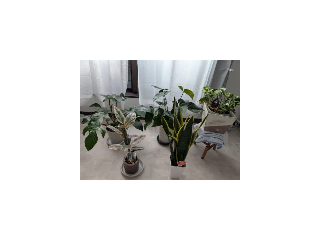 おはよーございます