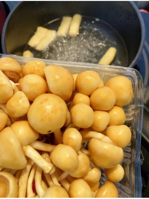 オススメなめこ