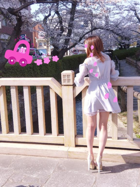 見頃なのは💓