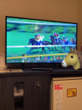 即リピ仲良しのお兄さんと🐎