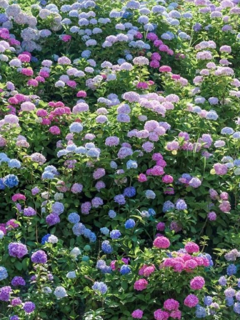 おはようございます✨✨