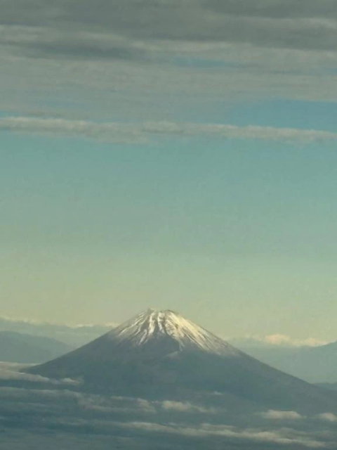 11/14、夕刻お会いしたお客様へ💕