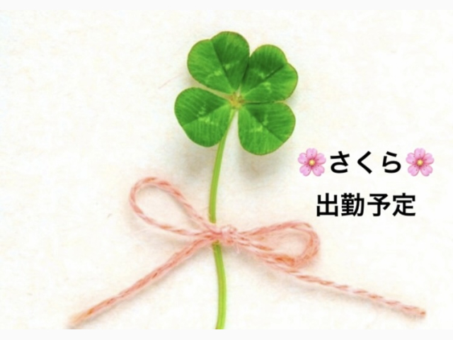 さくら来週のシフトです