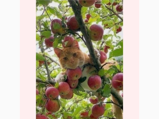 12時～出勤します♪