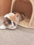 出勤しています!