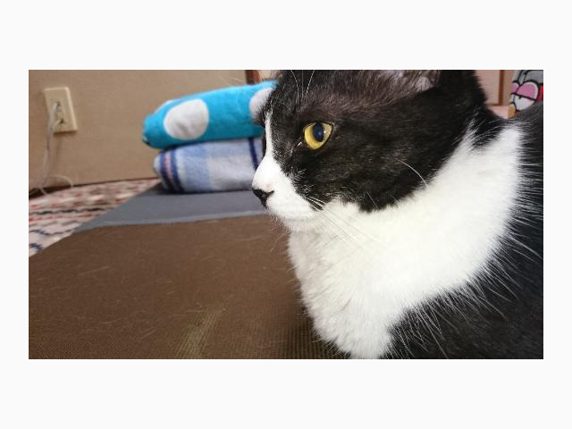 本日の受付は終了しました~