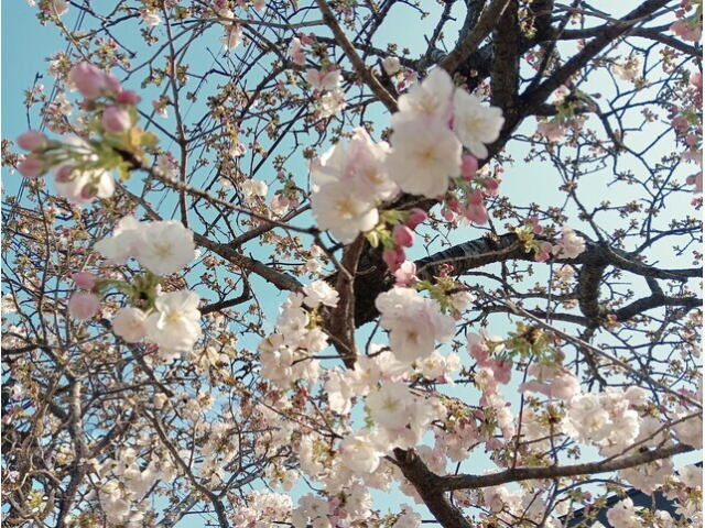 今日はありがとうございました