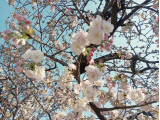 今日はありがとうございました
