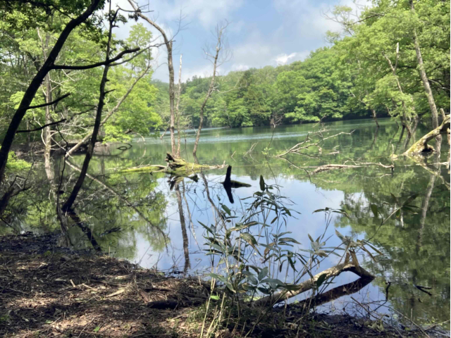 おつかれさまです?