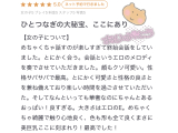 大きさは♡