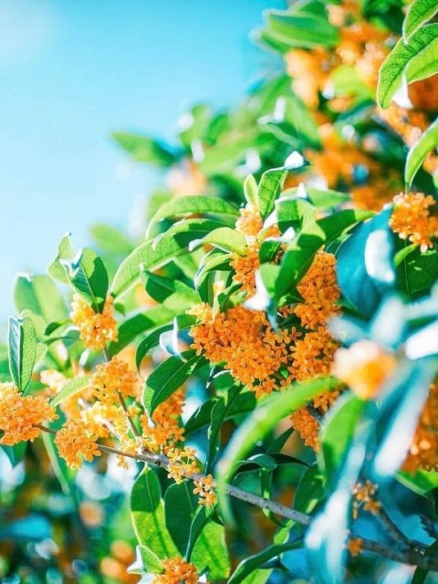 昨日はありがとうございました✨✨