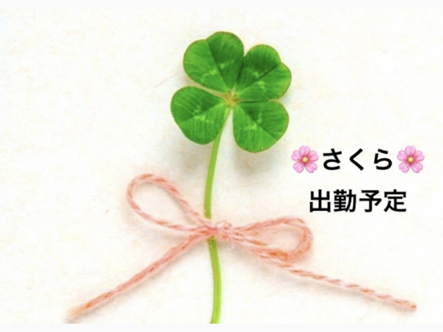 明日、出勤致します