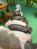 モテるテクニック