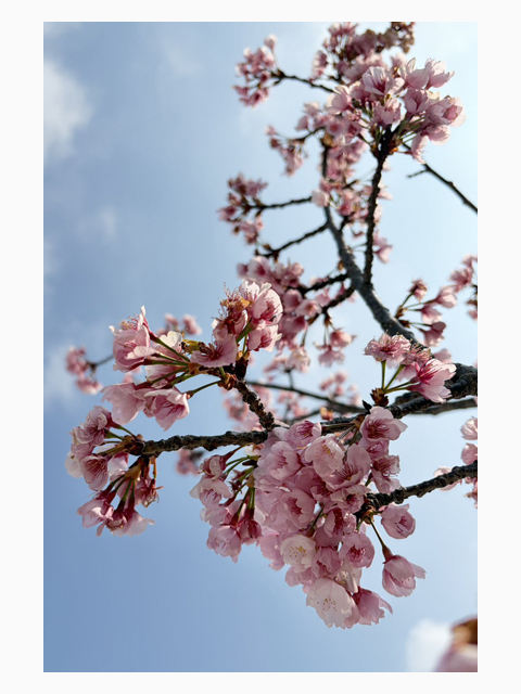 今日は4月1日、