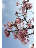 今日は4月1日、