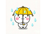 小雨が・・・