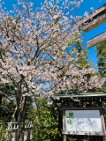 念願の神社を参拝