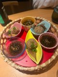 うまうま