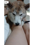 お久しぶりです。