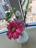 ありがとうございます。