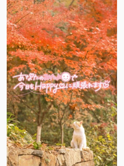 昨日のみたよポチっとさんありがとう♥️【11/01】