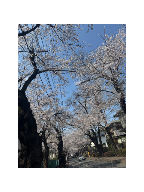 終わらない歌を歌おう♪