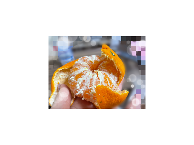 おはようございます🐥🌤️