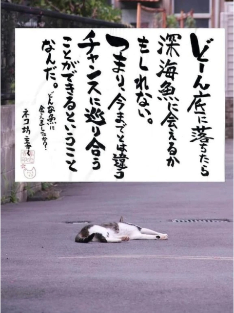 楽しい事❤️
