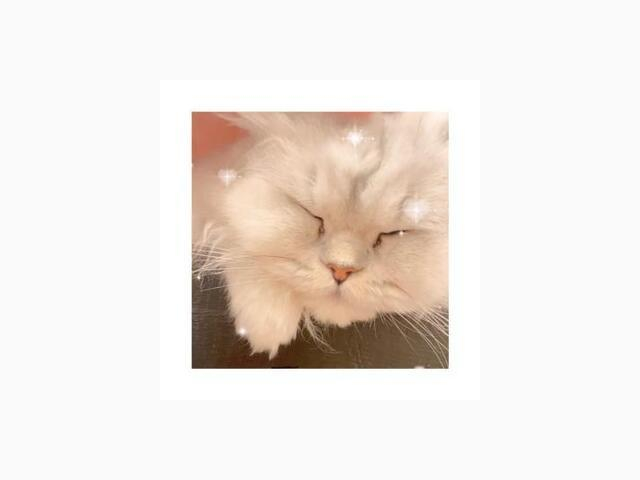 ありがとうございます♡