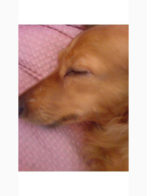 一日、ありがとうございました♪