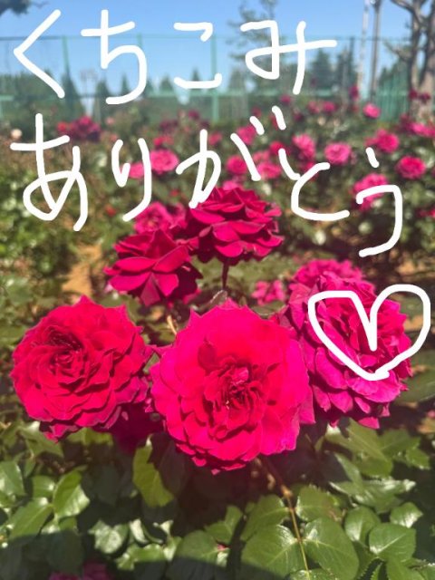 クチコミありがとう?