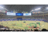 最近興奮したこと🩷