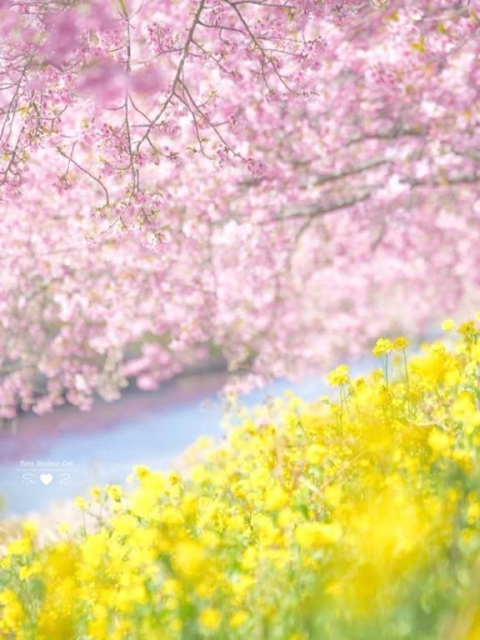 おはようございます✨