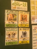 出待ち