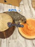 🩵すみません､､､