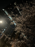 おねがい🙏🏻💌💭