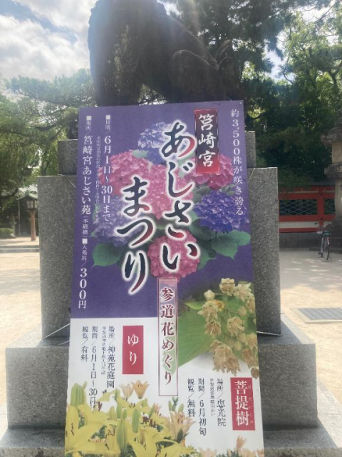 おはようございます☀️すいふ