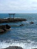 (｡･ω･)ﾉ