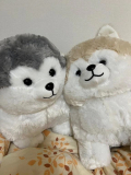 こんにちは