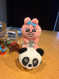 もらったんだ🐰🐼