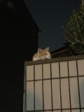 退勤っ