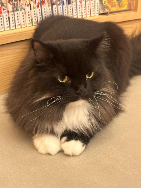 女性休暇のお知らせ🙇‍♀️