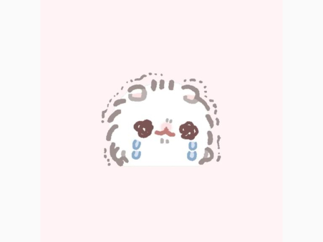 😿