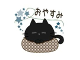 おやすみなさいませ🌜