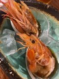 🦐